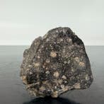 REBIANA 002, météorite de lastéroïde VESTA Achondrite