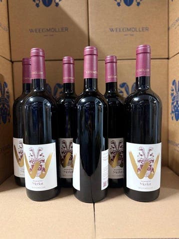 2022 Weingut Weegmüller - Merlot Bürgergarten - Pfalz - 6, Nieuw
