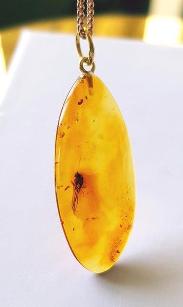 Zeldzame natuurlijke Baltische barnsteenhanger met fossiele