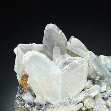 Outstanding Japan Law Twin QUARTZ de Washington Camp,