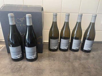 2022 Domaine Fournier Père & Fils Les deux Cailloux -, Verzamelen, Nieuw