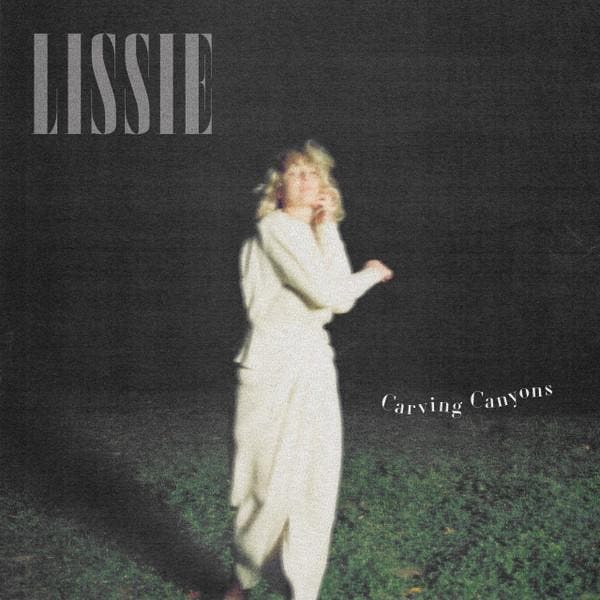 Lissie - Carving Canyons, Cd's en Dvd's, Vinyl | Pop, Gebruikt, Verzenden