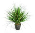 Kunstplant Onion Gras Groen 50 cm, Huis en Inrichting, Verzenden