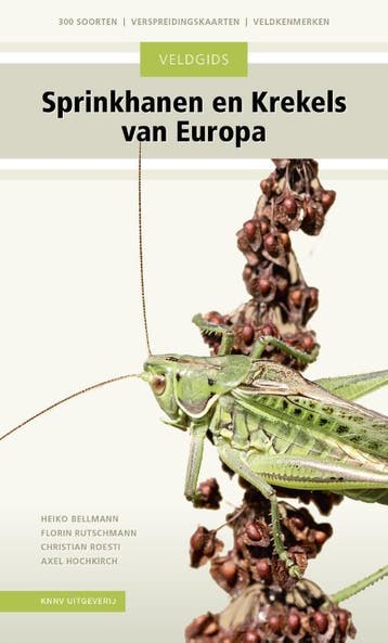 Veldgids Sprinkhanen En Krekels Van Europa | Nieuw, Verzenden, Nieuw, Heiko Bellmann; Florin Rutschmann; Christian Roesti; Axel Hochkirch