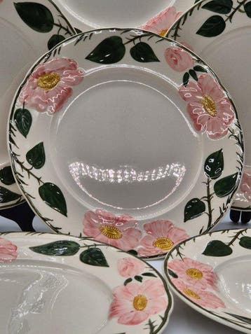 Villeroy & Boch – 6 Teller – Keramik mit handgemaltem