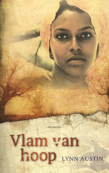 Vlam van hoop / Amerikaanse burgeroorlog-trilogie / 3, Verzenden, Lynn Austin