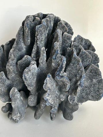 sculptuur, Large Natural Blue Coral – Sculptural Form –