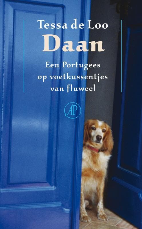 Daan 9789029574143 Tessa de Loo, Boeken, Romans, Gelezen, Verzenden