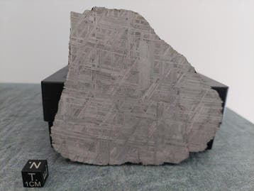 Météorite de Muonionalusta Météorite de fer - Hauteur : 10