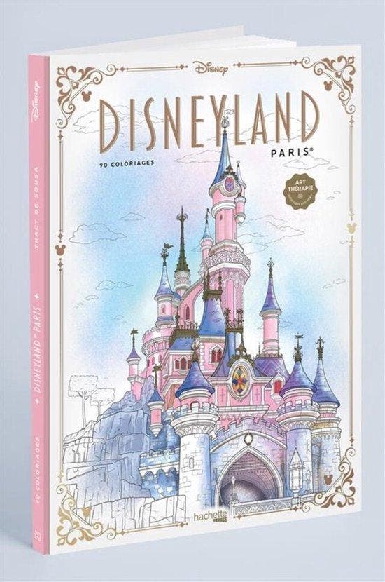 Kaft licht beschadigd hachette heroes Disneyland Parijs K..., Enfants & Bébés, Jouets | Autre, Envoi