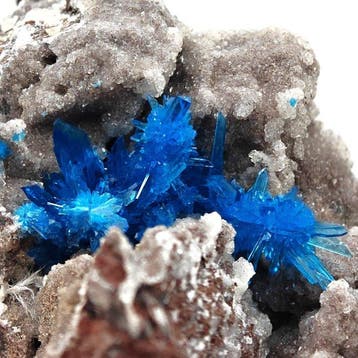 Zeldzame elektrische blauwe pentagoniet, grote kristallen op