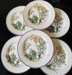 Villeroy & Boch - Bord (6) - botanica - Porselein