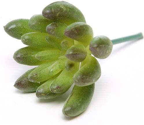 Latex Succulent Groen Rood 6,5 cm per stuk, Maison & Meubles, Accessoires pour la Maison | Plantes & Fleurs artificielles