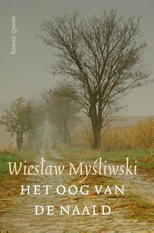 Het oog van de naald 9789021419817 Wieslaw Mysliwski, Boeken, Romans, Gelezen, Verzenden