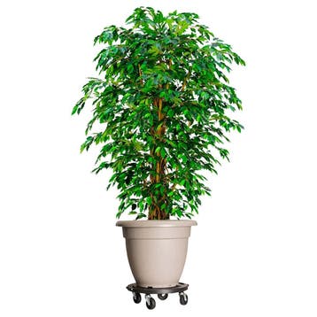 vidaXL Plantentrolleys met wielen 5 st 275 kg diameter 40 cm, Tuin en Terras, Verzenden, Nieuw