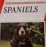 SPANIELS 9789062486656 Richard Bouwman, Verzenden, Gelezen, Richard Bouwman