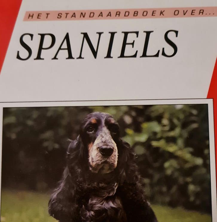 SPANIELS 9789062486656 Richard Bouwman, Boeken, Hobby en Vrije tijd, Gelezen, Verzenden