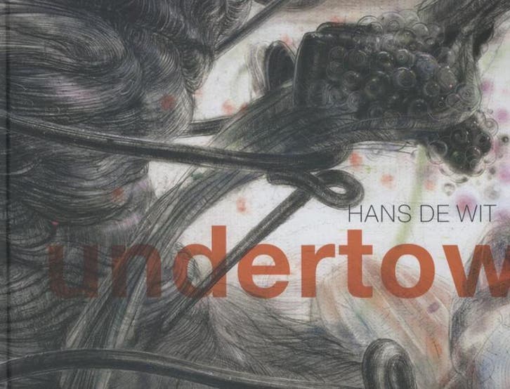 Undertow 9789491196409 Hans de Wit, Boeken, Kunst en Cultuur | Beeldend, Zo goed als nieuw, Verzenden