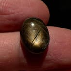 Sans prix de réserve - 1 pcs Saphir étoilé - 9.23 ct - Aucun