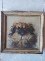 Marino Lenci (1874-1939) - Cane pechinese