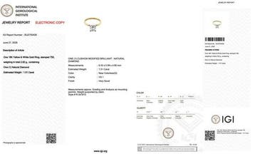 Ring - 18 karaat Geel goud, Witgoud - 1.51ct. tw. Diamant
