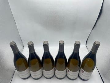 2021 Domaine Jean Monnier & Fils - Puligny Montrachet - 6, Verzamelen, Wijnen, Nieuw