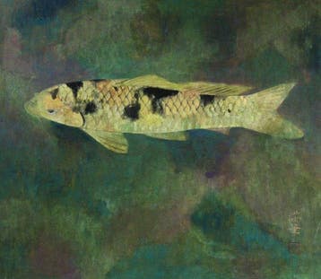 Nishikigoi (Koi Carp) Size F12 Equivalent Original Nihonga
