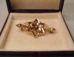 Zonder minimumprijs - Broche - 10 kt. Geel goud - Sterbroche