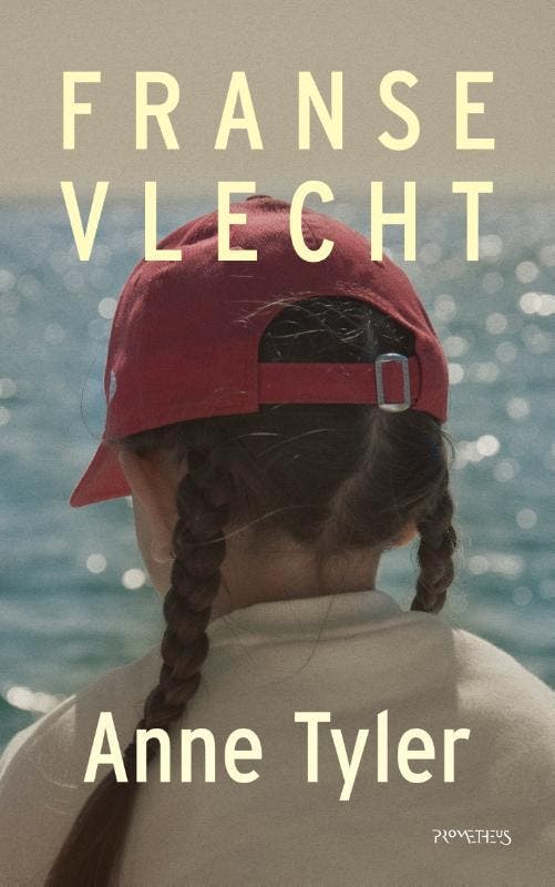 Franse vlecht 9789044649406 Anne Tyler, Boeken, Romans, Gelezen, Verzenden