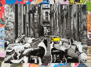 Mr Brainwash (1966) - Alley Dogs · (Unq 1/1), Antiek en Kunst