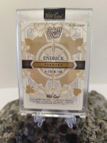 Wild Card Jokers Wild Endrick 1/1 Édition unique, Carte, Nieuw