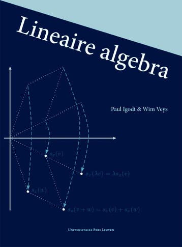 Lineaire algebra 9789058678799 Paul Igodt, Boeken, Verzenden, Gelezen, Paul Igodt