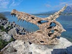 Spinosaurus Mirabilis - Sculpture 1/2 (86cm) - Patine Argile
