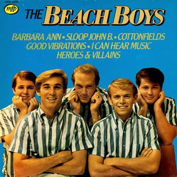 The Beach Boys – The Beach Boys (LP, 1981), Verzenden, Gebruikt