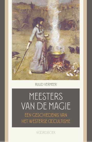 Meesters Van De Magie | Ruud Vermeer | Nieuw, Boeken, Verzenden, Nieuw, Ruud Vermeer