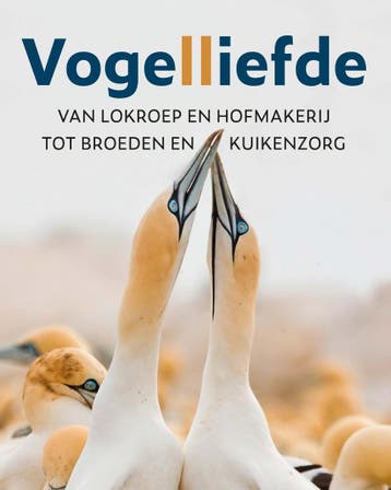 Vogelliefde (9789021575919, Wenfei Tong), Verzenden