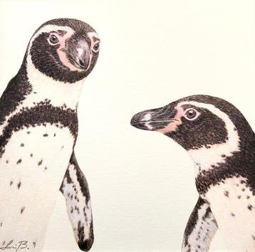 AniB. - Whats Going On Now? ( Penguin painting ), Antiek en Kunst