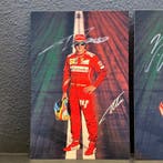 Ferrari - ULTRA RARE - Exclusive China GP 2014 - Fernando