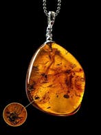 Zeer zeldzame natuurlijke Baltisch barnsteenhanger met spin