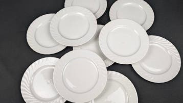 Seltmann Weiden - Tafelservies (10) - Voor 10 personen -