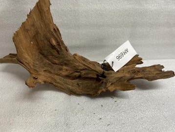 Am 696 Fine Sinkingwood 37x24x15 cm aquarium decoratie hout, Verzenden, Nieuw, Plant(en), Steen of Hout