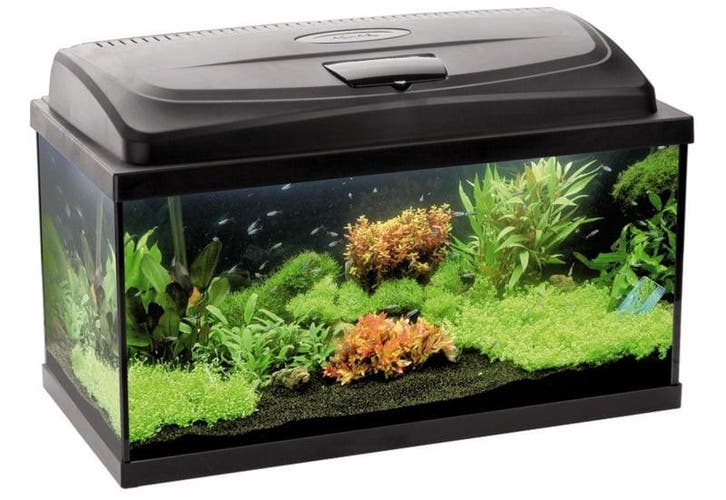 Osaka Classic aquarium 100cm recht (Osaka Classic 2.0), Dieren en Toebehoren, Vissen | Aquaria en Toebehoren, Leeg aquarium, Nieuw