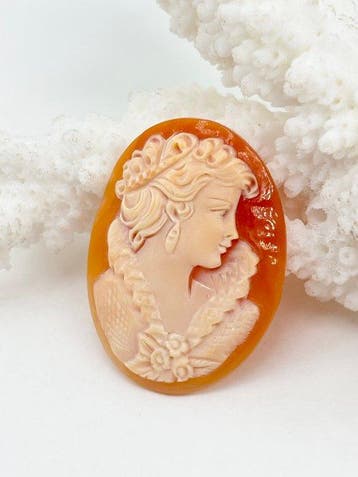 Cassis rufa zonder reserveprijs - Cameo - Handgegraveerde