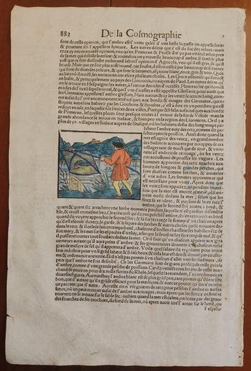 Sebastian Münster (1489–1552) - Cosmographie Universelle -