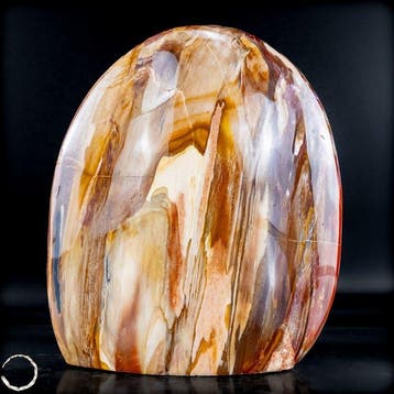 Exclusief versteend hout als vrije vorm – expressieve