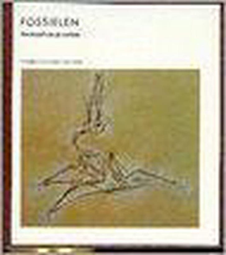 Fossielen: Een beeld van de evolutie 9789070157548 Simpson, Boeken, Wetenschap, Gelezen, Verzenden