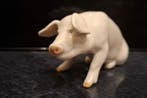 Royal Copenhagen - Figurine - Pig, 1942 - Porcelaine