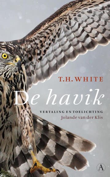 De havik 9789025302818 T.H. White, Verzenden, Gelezen, T.H. White
