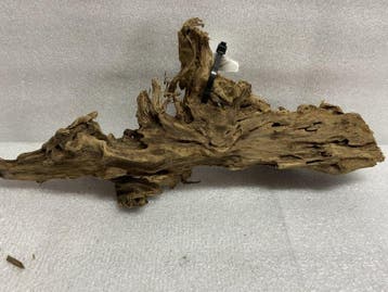 As 417Fine Sinkingwood 30x14x9cm aquarium decoratie hout, Verzenden, Plant(en), Steen of Hout