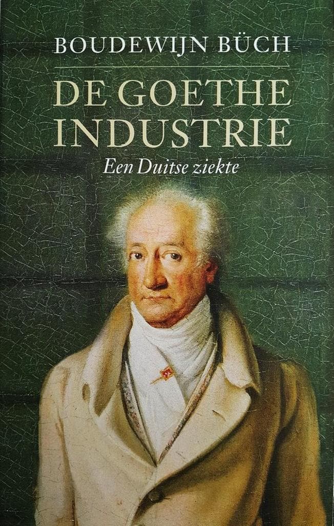 De Goethe-industrie 9789029503532 B. Buch, Livres, Littérature, Envoi